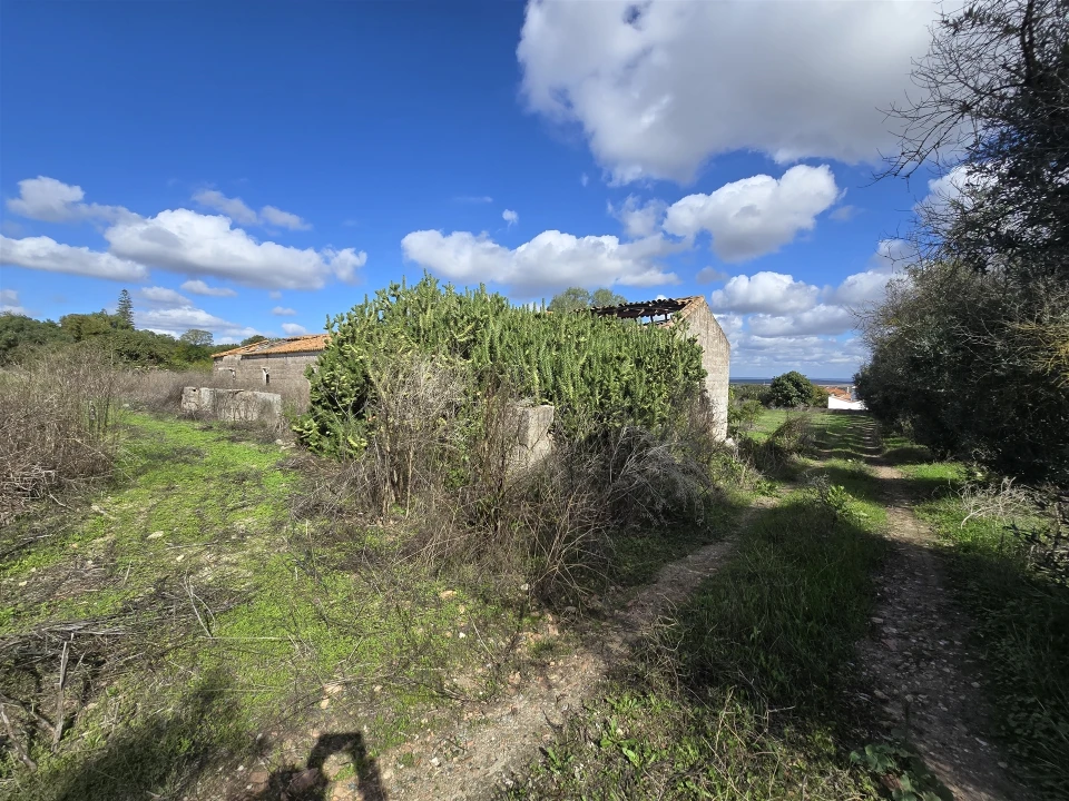 Terreno para Venda em Beja (Santiago Maior e São João Baptista) Foto 41