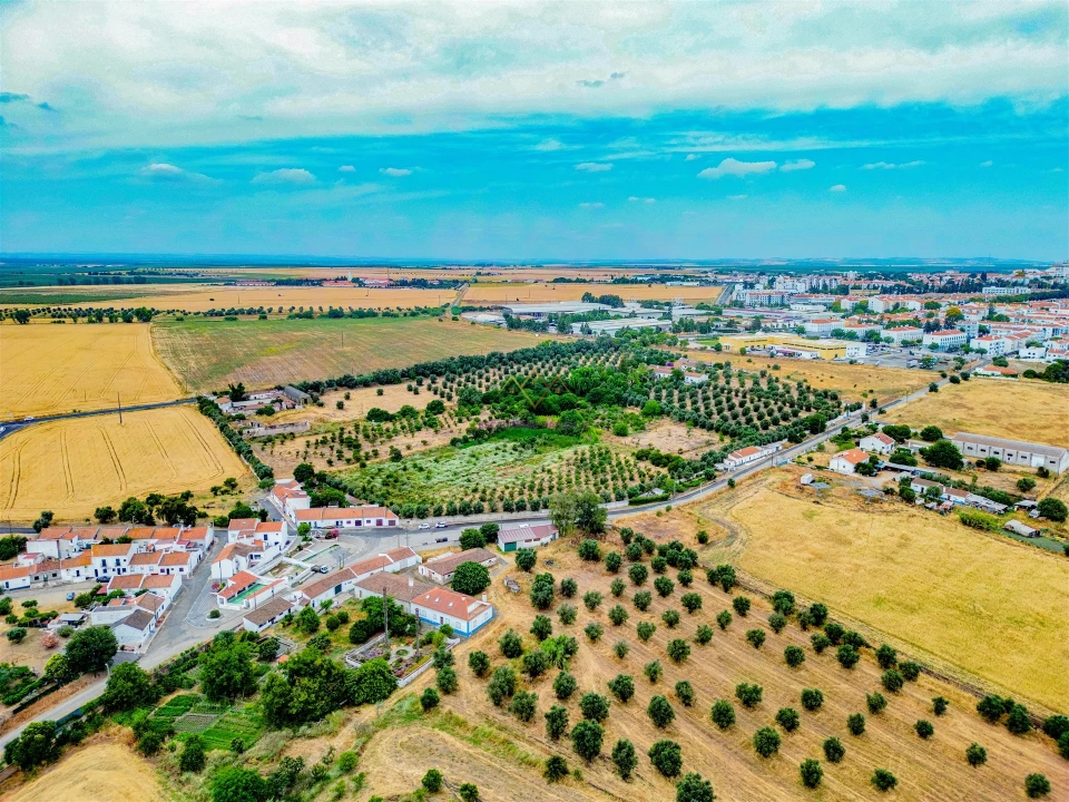 Terreno para Venda em Beja (Santiago Maior e São João Baptista) Foto 11