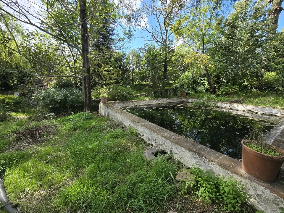 Terreno para Venda em Beja (Santiago Maior e São João Baptista) Foto 19