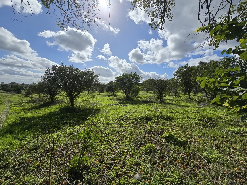 Terreno para Venda em Beja (Santiago Maior e São João Baptista) Foto 17