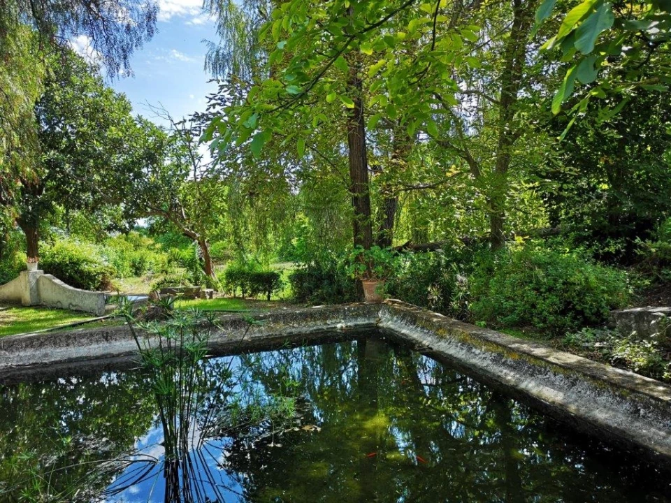 Terreno para Venda em Beja (Santiago Maior e São João Baptista) Foto 16