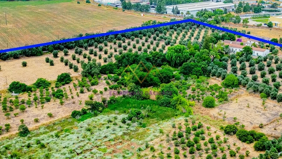 Terreno para Venda em Beja (Santiago Maior e São João Baptista)