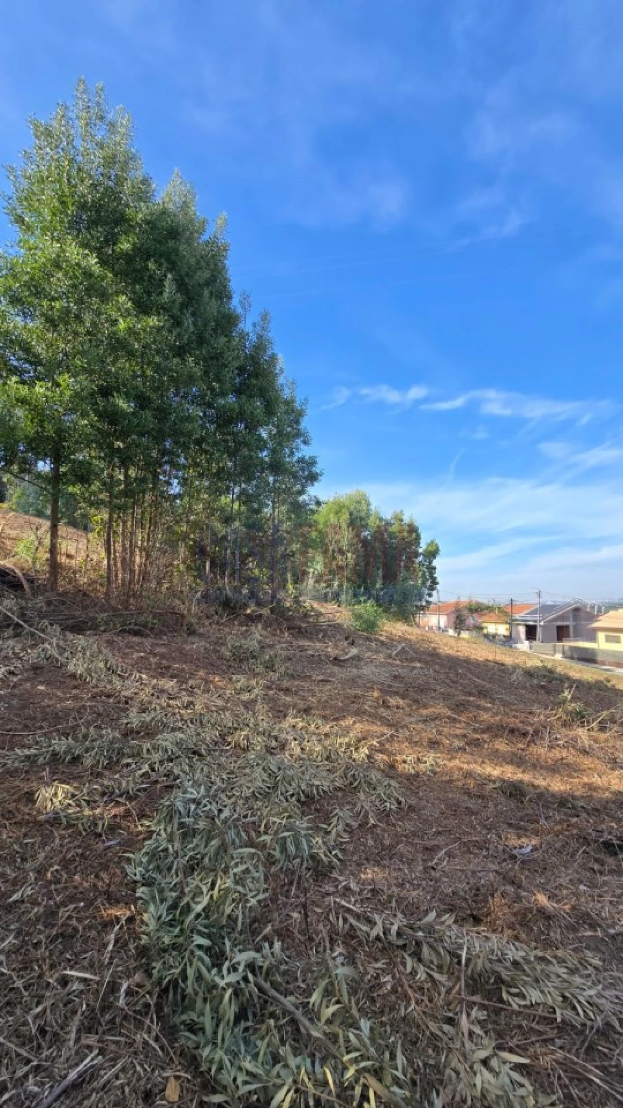 Terreno para Venda em Pedroso e Seixezelo Foto 9