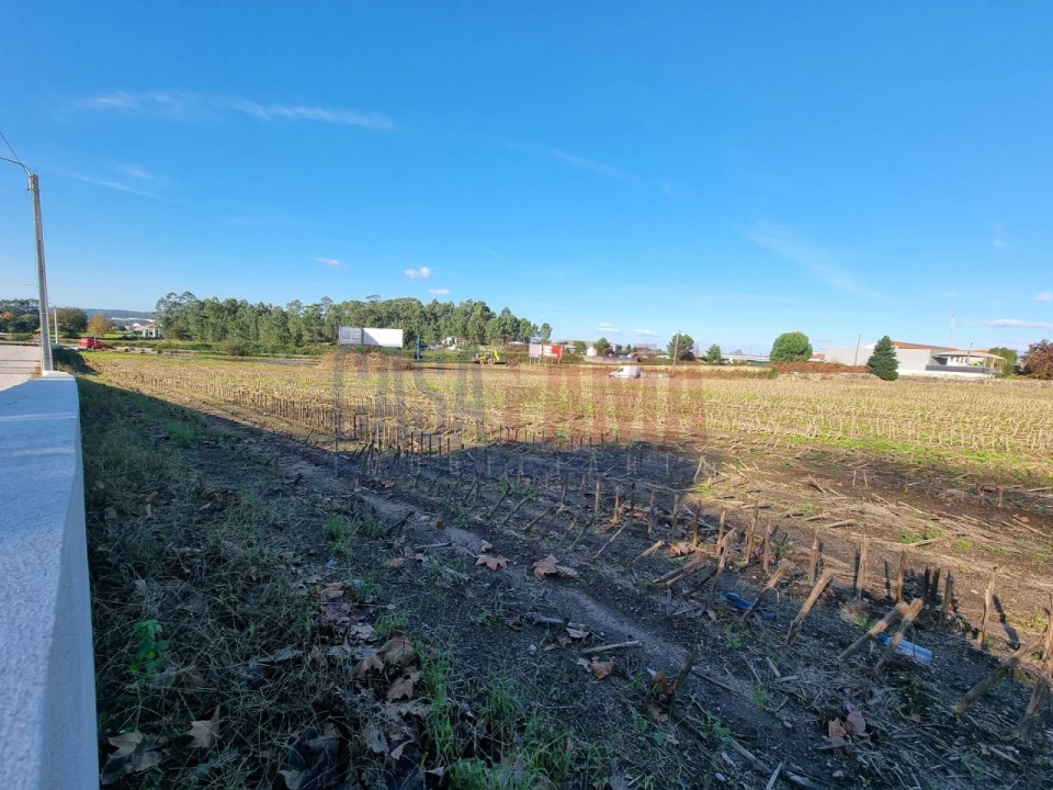 Terreno para Venda em Alvelos Foto 9