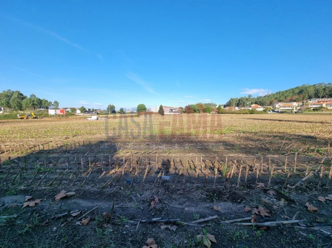 Terreno para Venda em Alvelos Foto 8