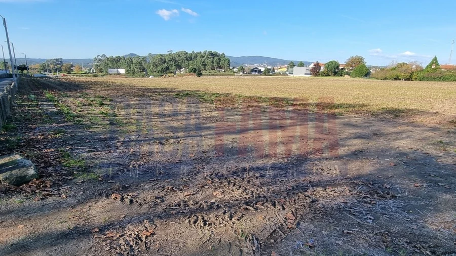 Terreno para Venda em Alvelos