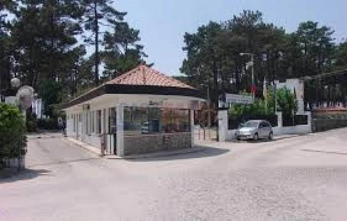 Terreno para Venda em Arvore Foto 23