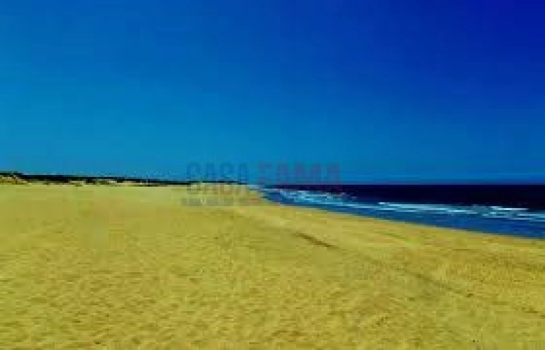 Terreno para Venda em Arvore Foto 24