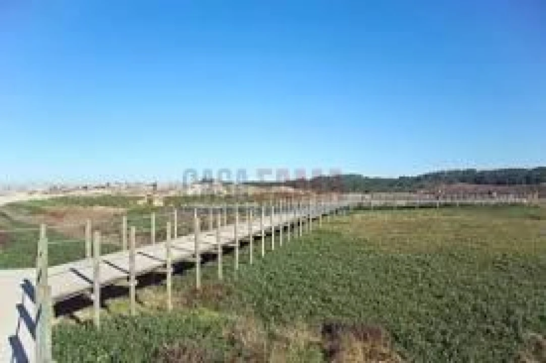 Terreno para Venda em Arvore Foto 25