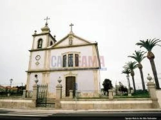 Terreno para Venda em Arvore Foto 20