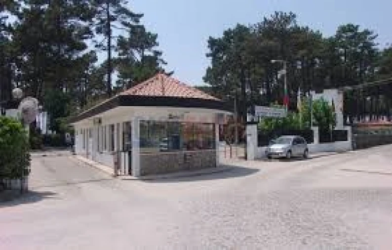 Terreno para Venda em Arvore Foto 23