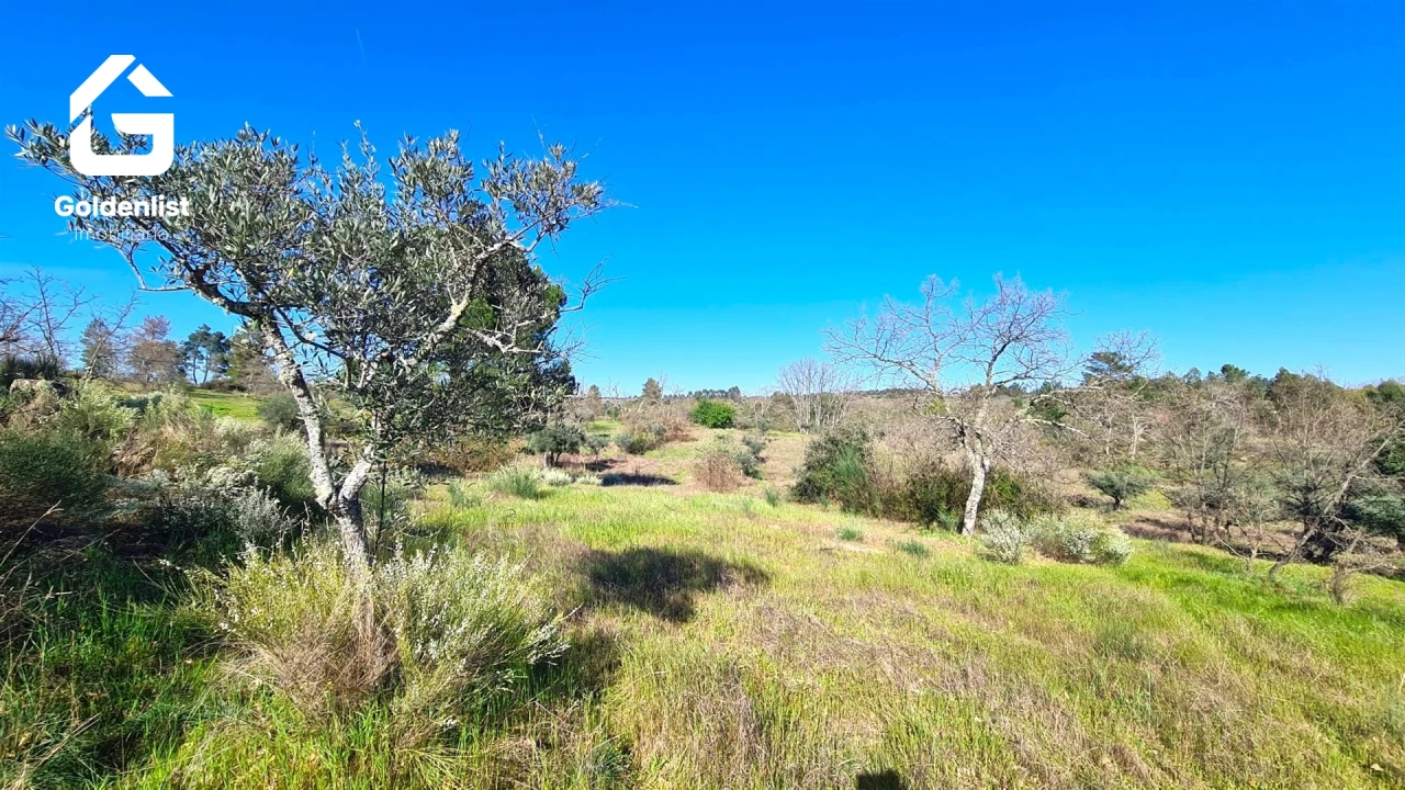 Quinta T0 para Venda em Orca Foto 21