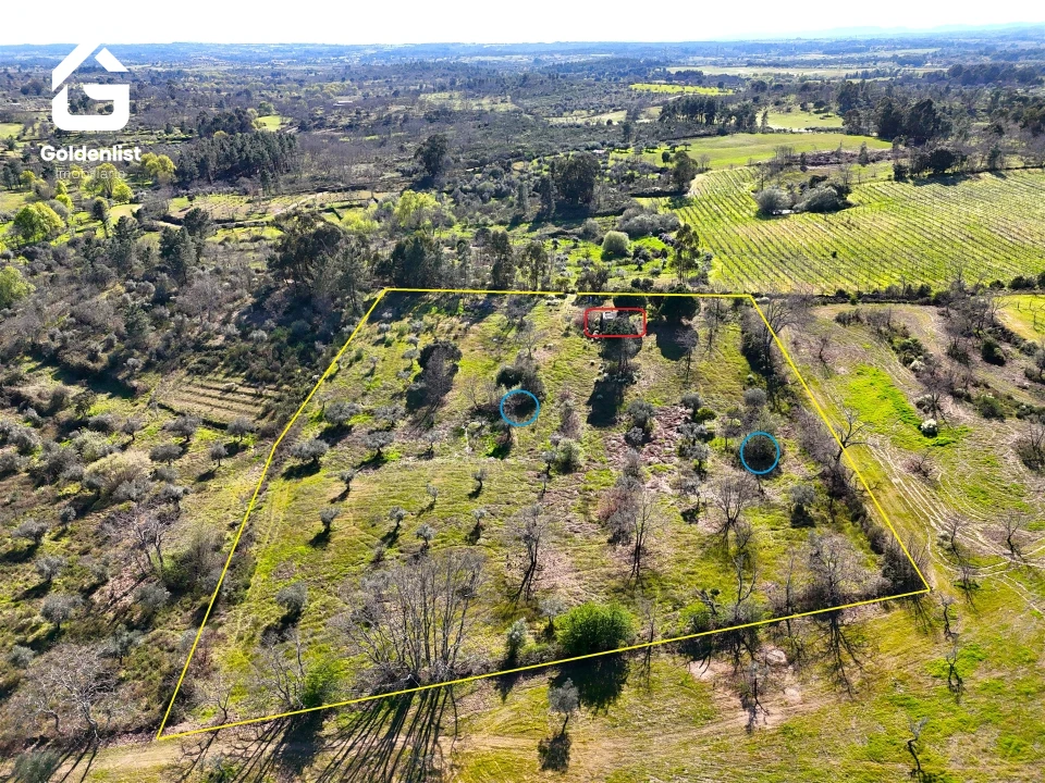 Quinta T0 para Venda em Orca Foto 3