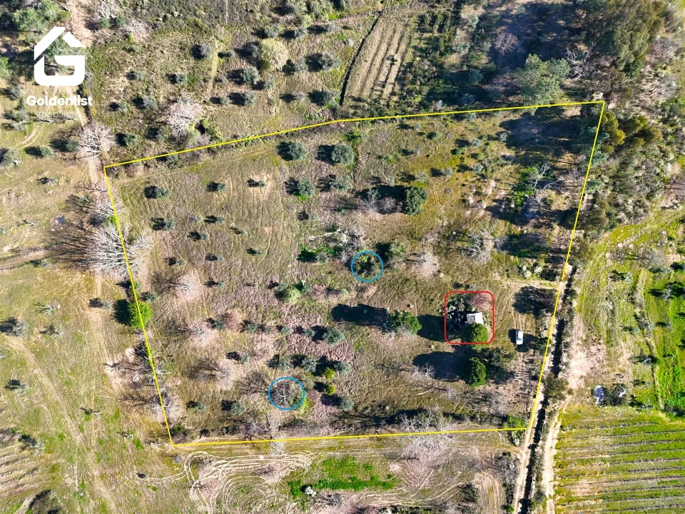 Quinta T0 para Venda em Orca Foto 15