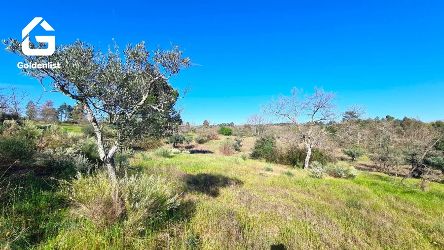 Quinta T0 para Venda em Orca Foto 21