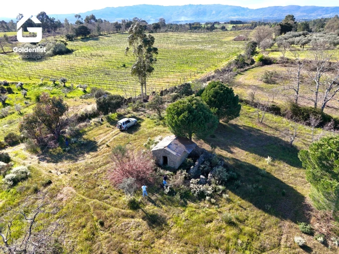 Quinta T0 para Venda em Orca Foto 7