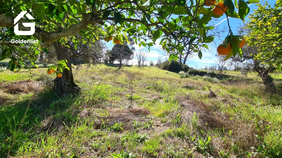 Quinta T0 para Venda em Orca Foto 19