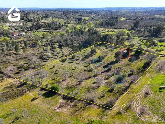 Quinta T0 para Venda em Orca Foto 20