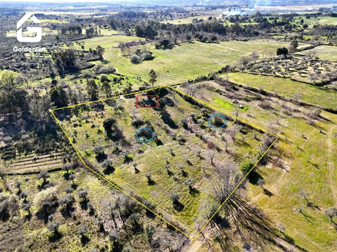 Quinta T0 para Venda em Orca Foto 2