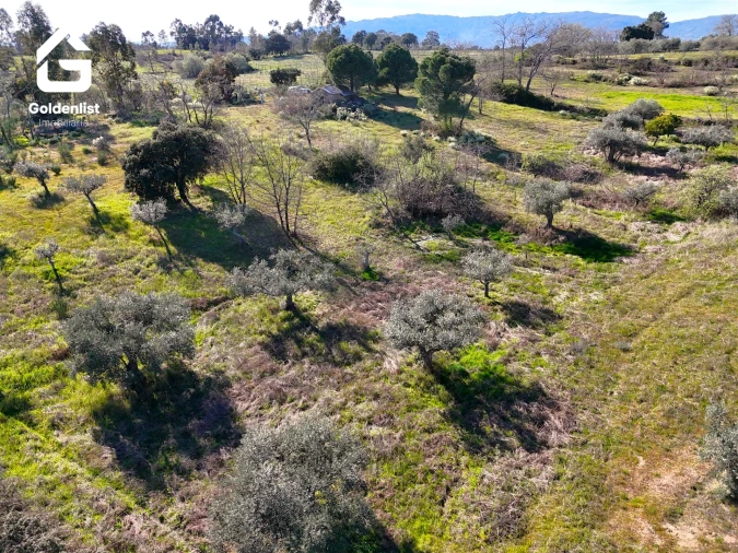 Quinta T0 para Venda em Orca Foto 17