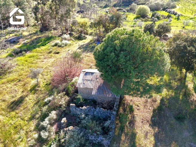 Quinta T0 para Venda em Orca Foto 5