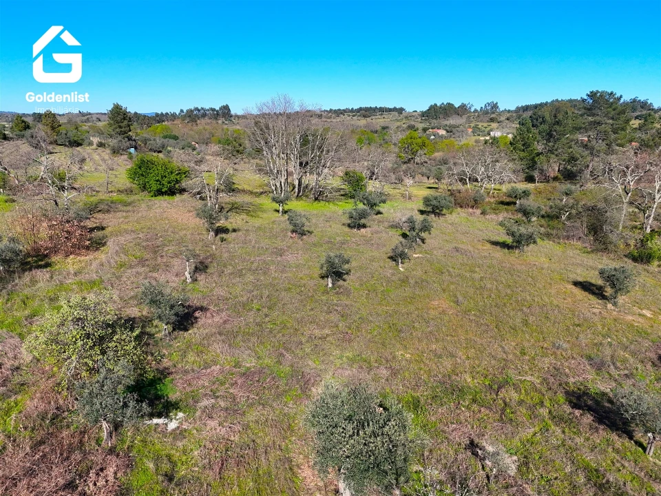 Quinta T0 para Venda em Orca Foto 16