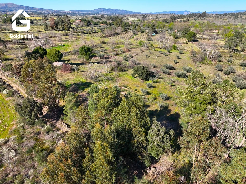 Quinta T0 para Venda em Orca Foto 18