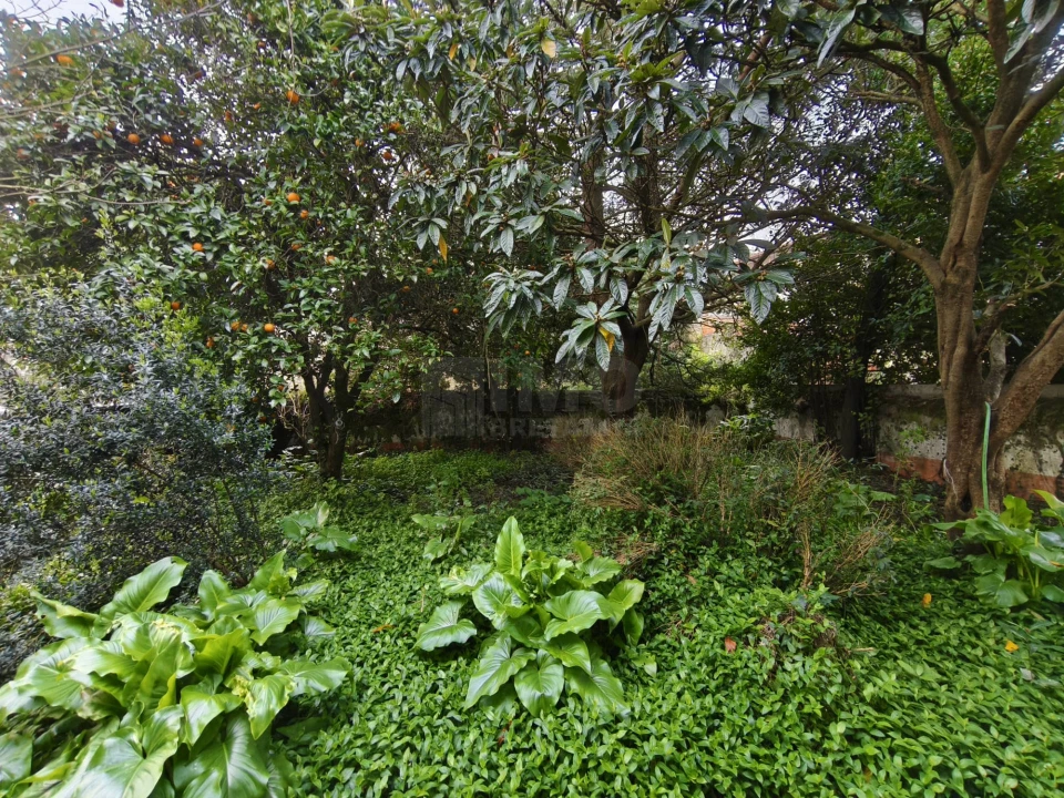 Moradia T8 para Venda em Lousã e Vilarinho Foto 22