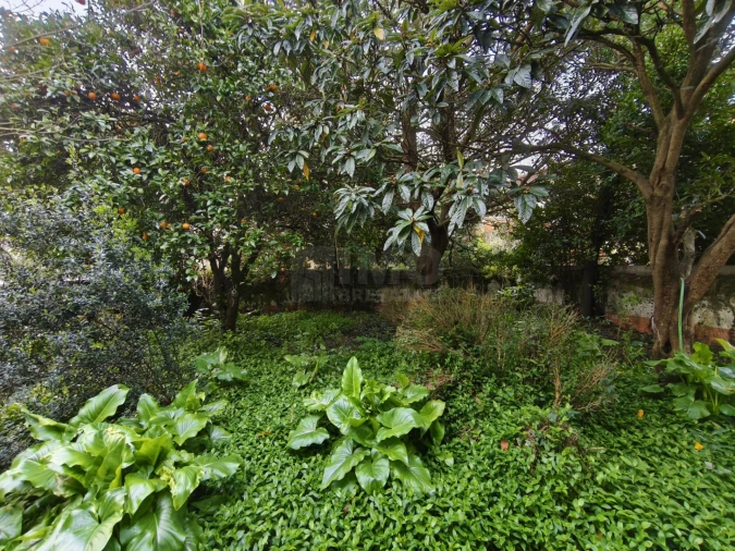 Moradia T8 para Venda em Lousã e Vilarinho Foto 22