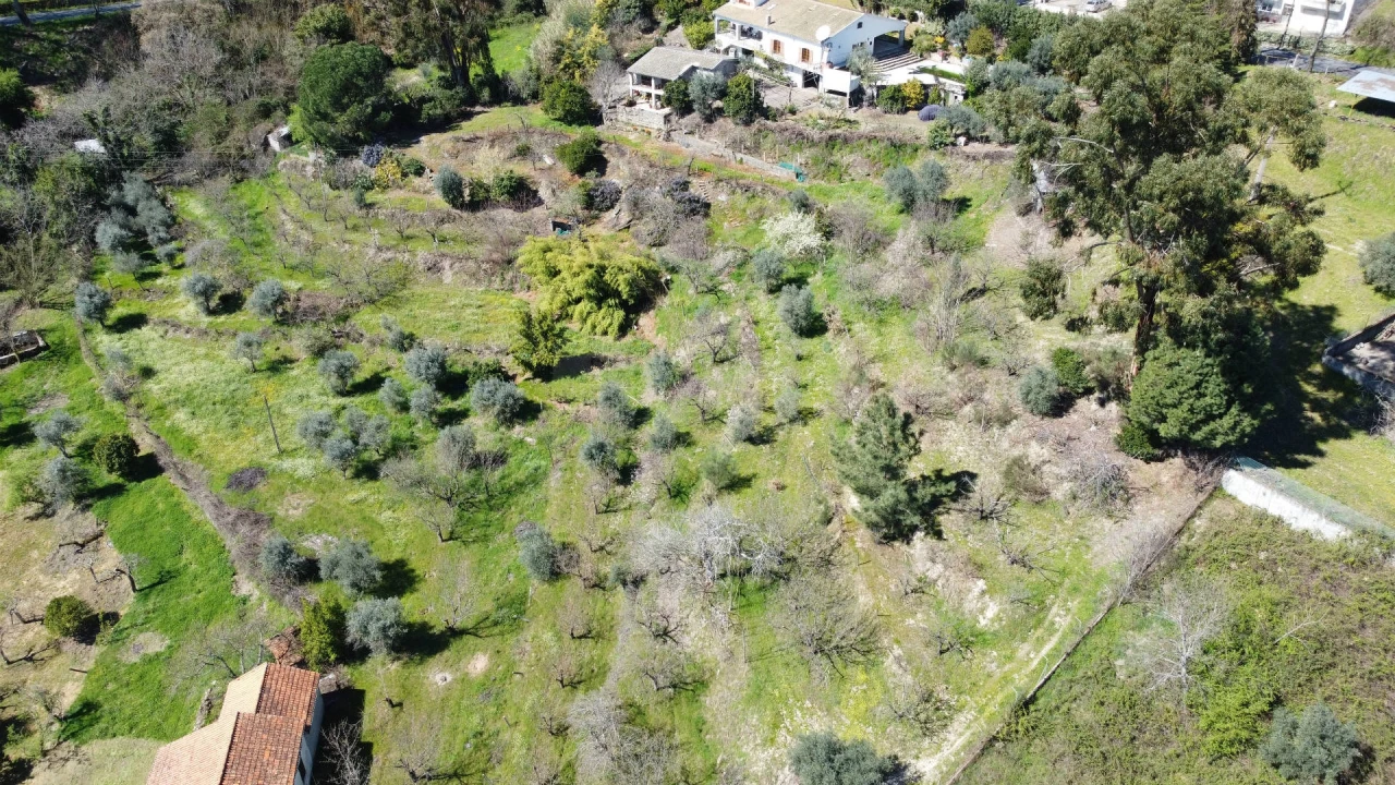 Terreno para Venda em Tortosendo Foto 13