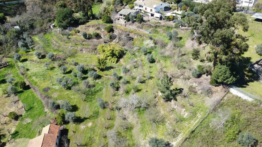 Terreno para Venda em Tortosendo Foto 13