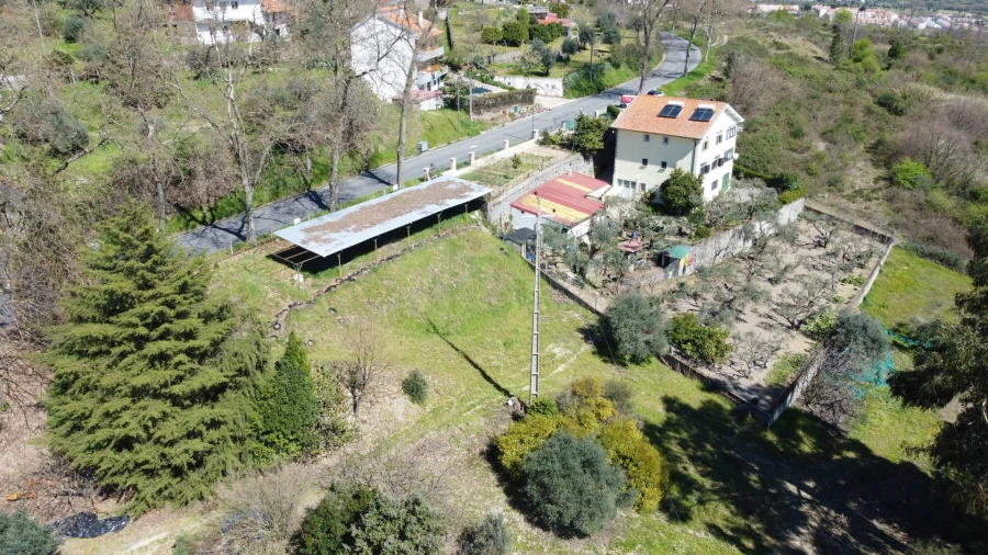 Terreno para Venda em Tortosendo Foto 8