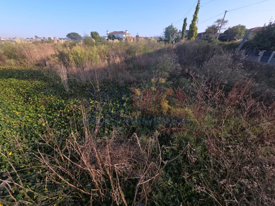 Terreno para Venda em Fradelos Foto 3