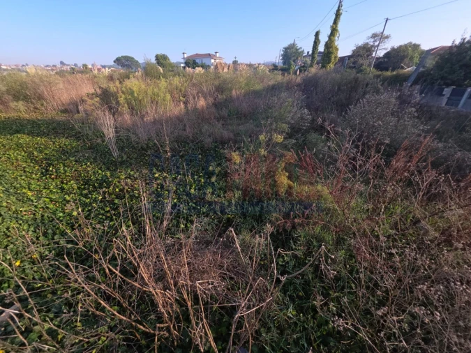 Terreno para Venda em Fradelos Foto 3