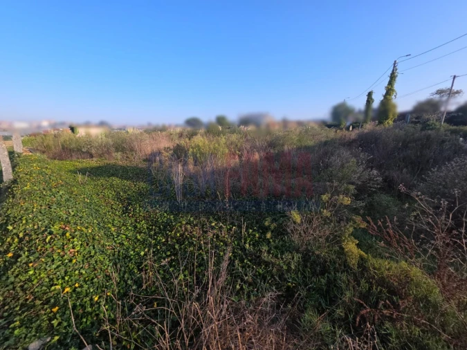 Terreno para Venda em Fradelos Foto 10