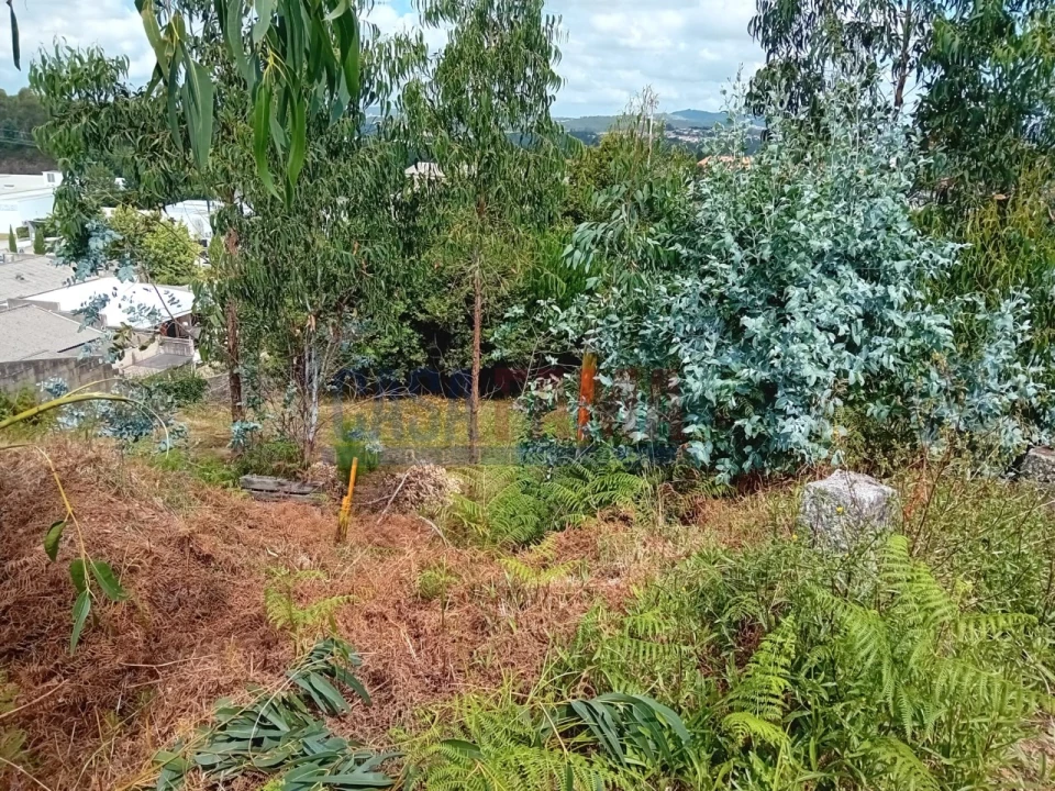 Terreno para Venda em Santo Tirso, Couto (Santa Cristina e São Miguel) e Burgães Foto 10