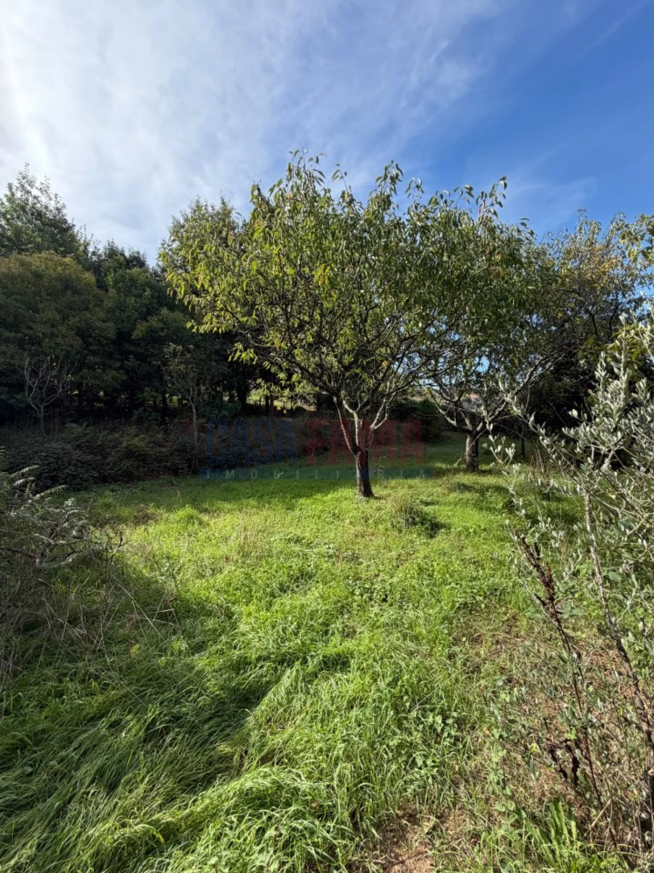 Terreno para Venda em Santo Tirso, Couto (Santa Cristina e São Miguel) e Burgães Foto 24