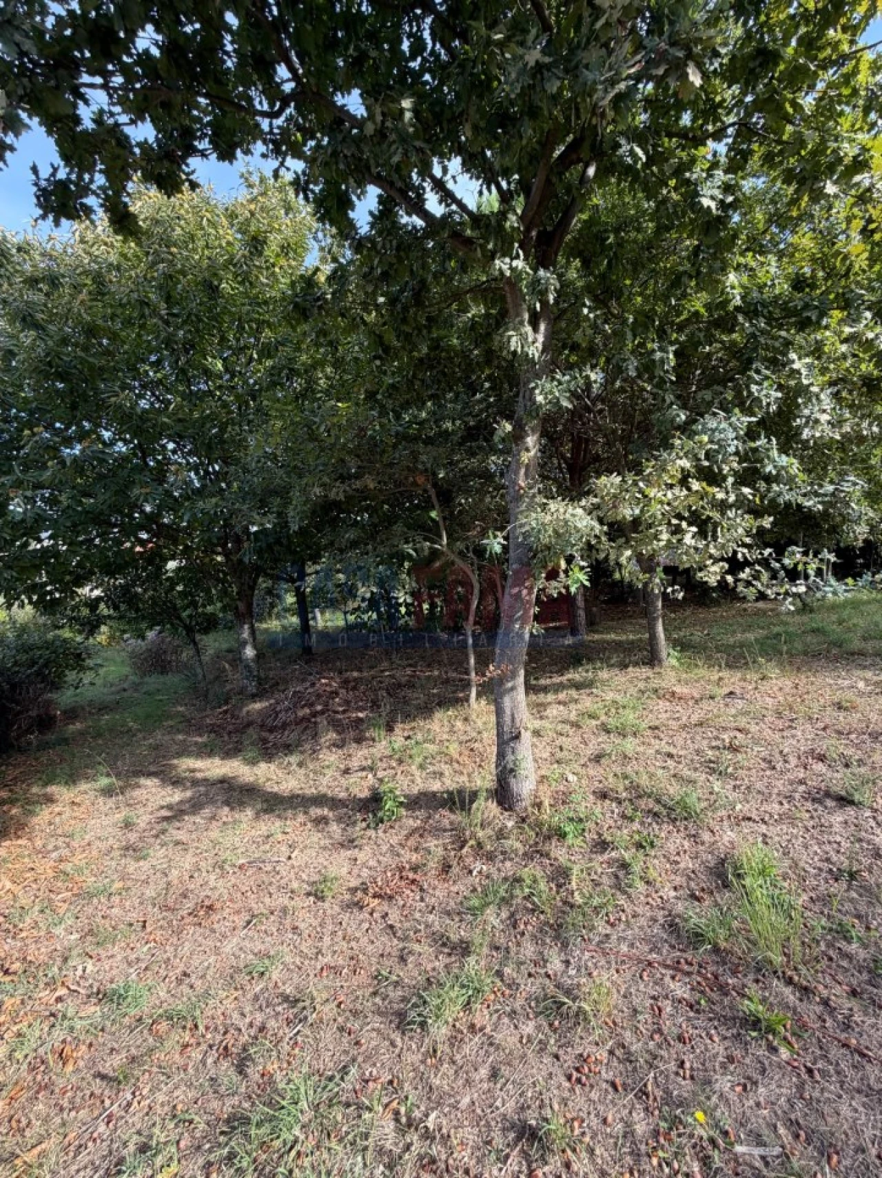 Terreno para Venda em Santo Tirso, Couto (Santa Cristina e São Miguel) e Burgães Foto 26