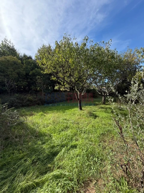 Terreno para Venda em Santo Tirso, Couto (Santa Cristina e São Miguel) e Burgães
