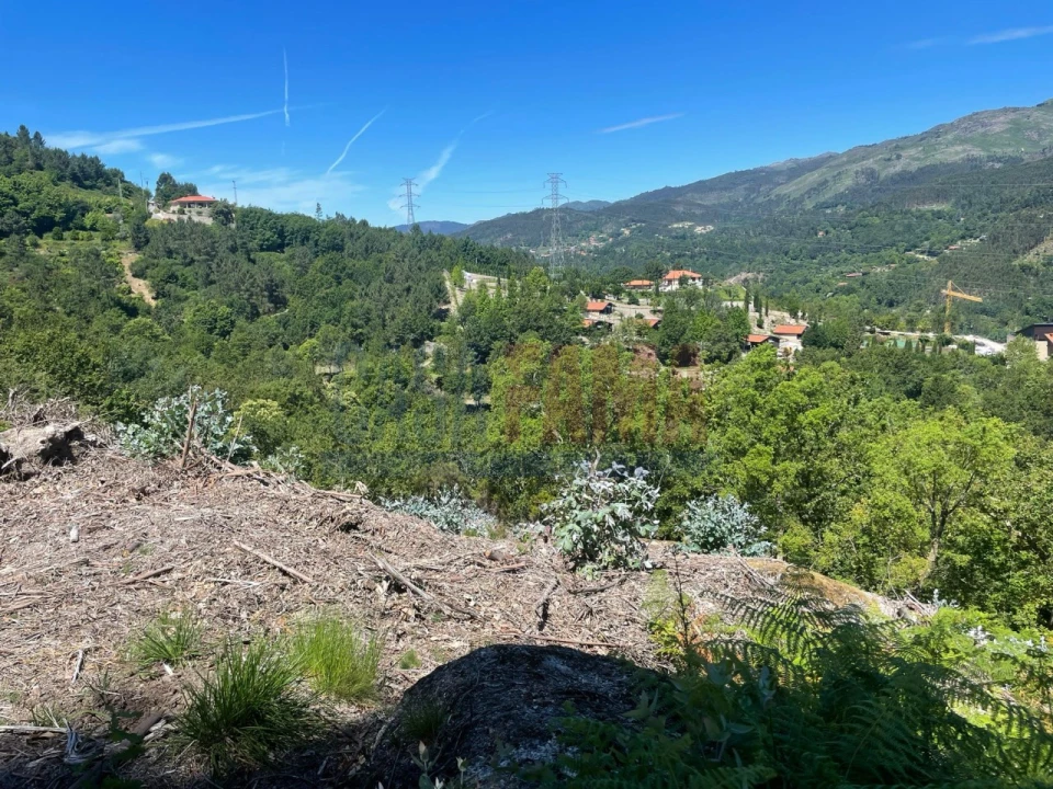 Terreno para Venda em Caniçada e Soengas Foto 6