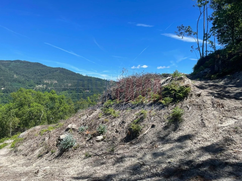 Terreno para Venda em Caniçada e Soengas Foto 9