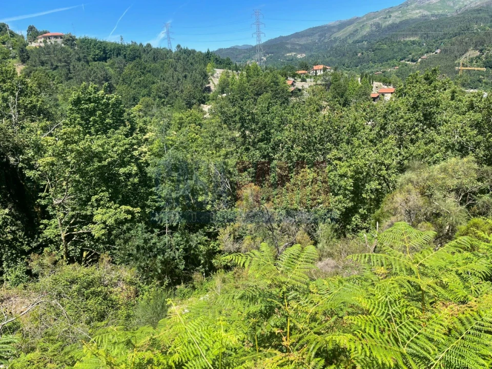Terreno para Venda em Caniçada e Soengas Foto 12