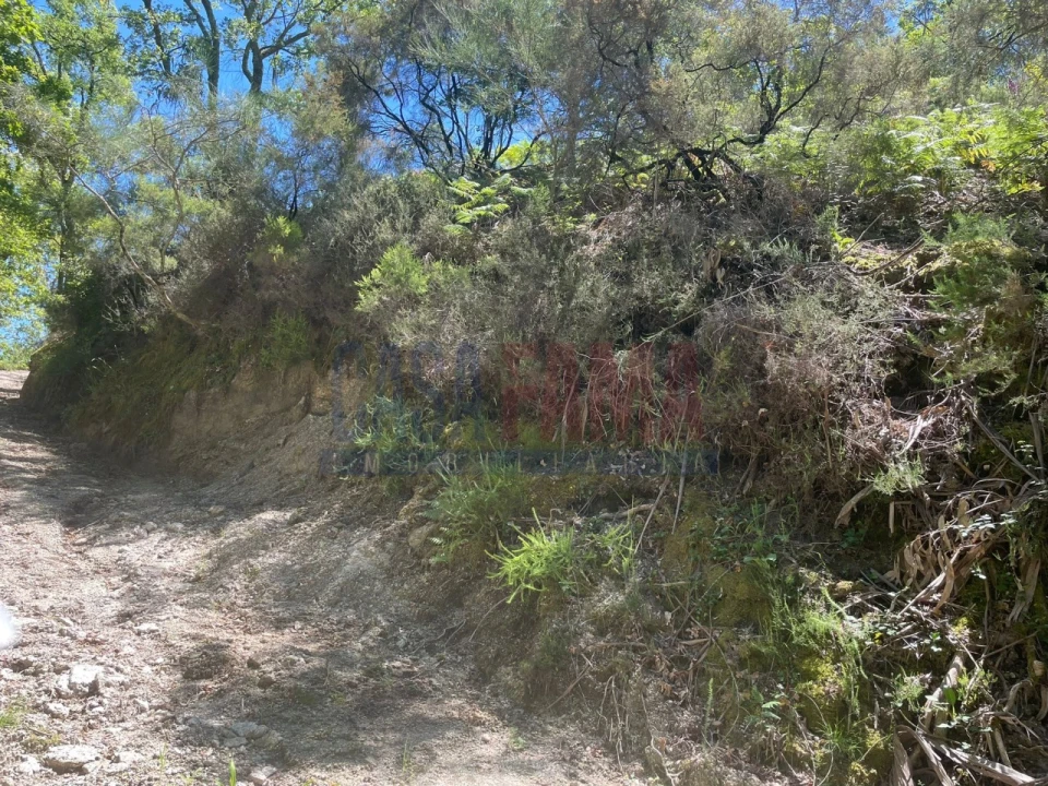 Terreno para Venda em Caniçada e Soengas Foto 18
