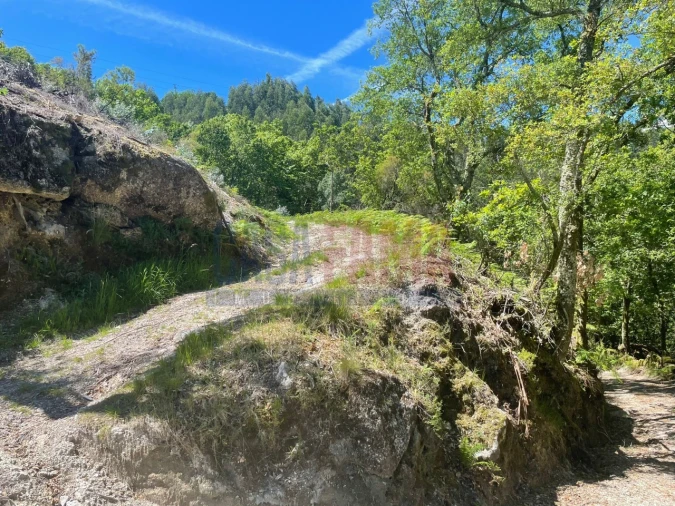 Terreno para Venda em Caniçada e Soengas Foto 2
