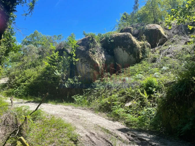 Terreno para Venda em Caniçada e Soengas Foto 3