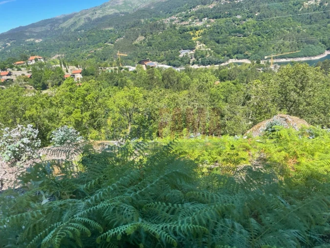 Terreno para Venda em Caniçada e Soengas Foto 5