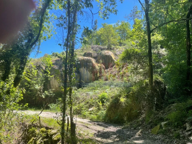 Terreno para Venda em Caniçada e Soengas Foto 11