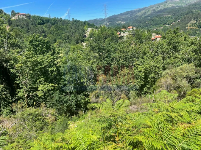 Terreno para Venda em Caniçada e Soengas Foto 12