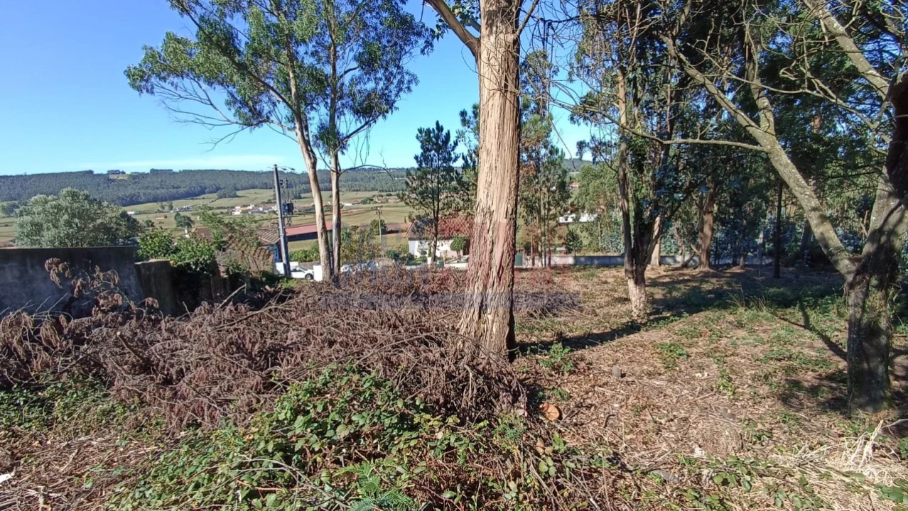 Terreno para Venda em Rates Foto 2