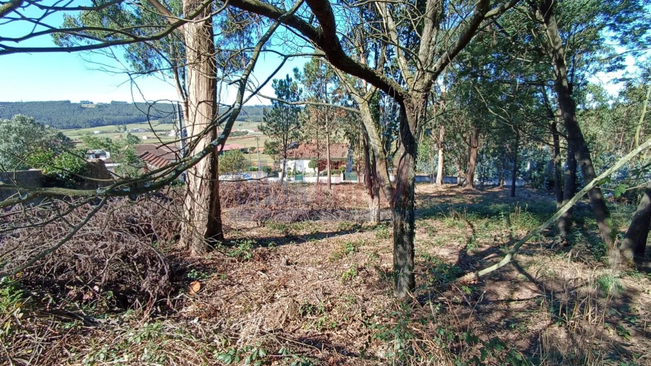 Terreno para Venda em Rates Foto 3